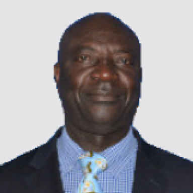 Prof. Manimbulu Nlooto