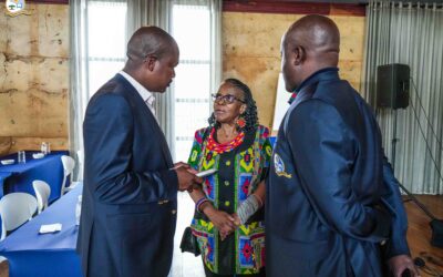 UL solidifies its African footprint as High Commissioner of South Africa to Namibia applauds its impact