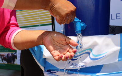 World Toilet Day promotes community hygiene