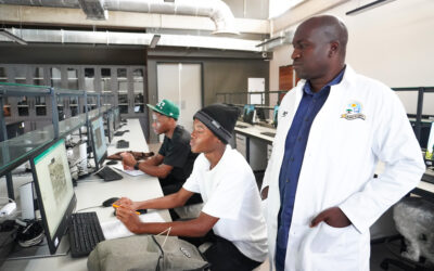 Researchers at UL raise alarms on asbestos threat in Ga-Mathabatha village